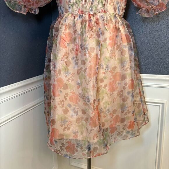 Endless Rose Puff Sleeve Mini Dress - Picture 11 of 12